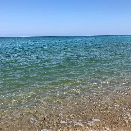 Nonsolomare * Badesi